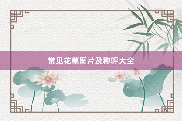 常见花草图片及称呼大全